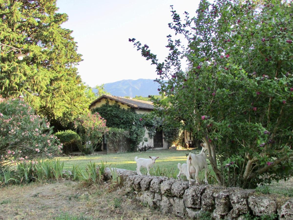 Agriturismo "Borgo Madonna Degli Angeli" - Charming Cottages In The Gardens ! Tocco da Casauria Exterior photo