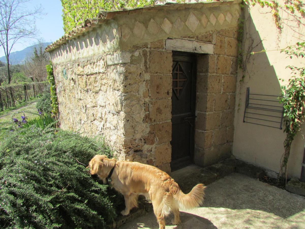 Agriturismo "Borgo Madonna Degli Angeli" - Charming Cottages In The Gardens ! Tocco da Casauria Exterior photo